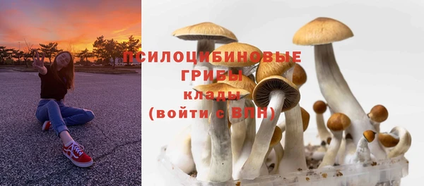 экстази Сосновка