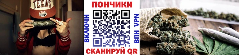 закладка  Новосокольники  МАРИХУАНА гибрид 